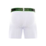 BOXER--MEDIO-CHEFLERA-BLANCO-MUNDO-UNICO