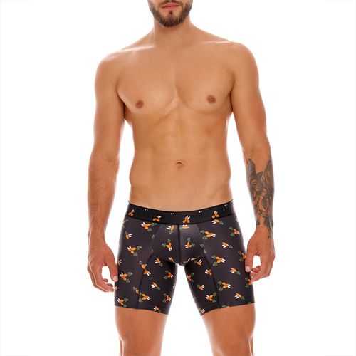 BOXER  MEDIO ZANA ESTAMPADO